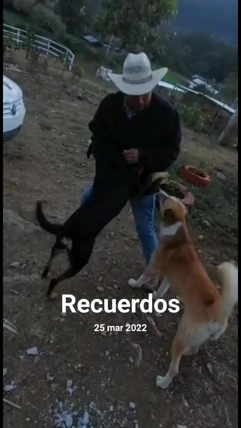 @Donato Martinez