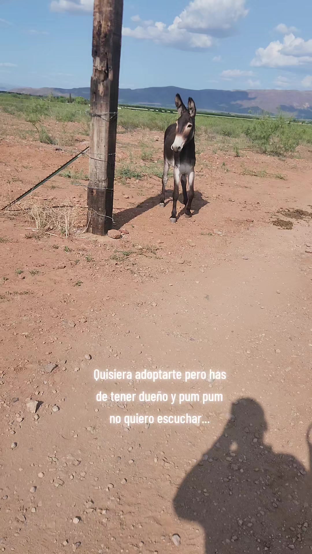 @El De La 450 Negra