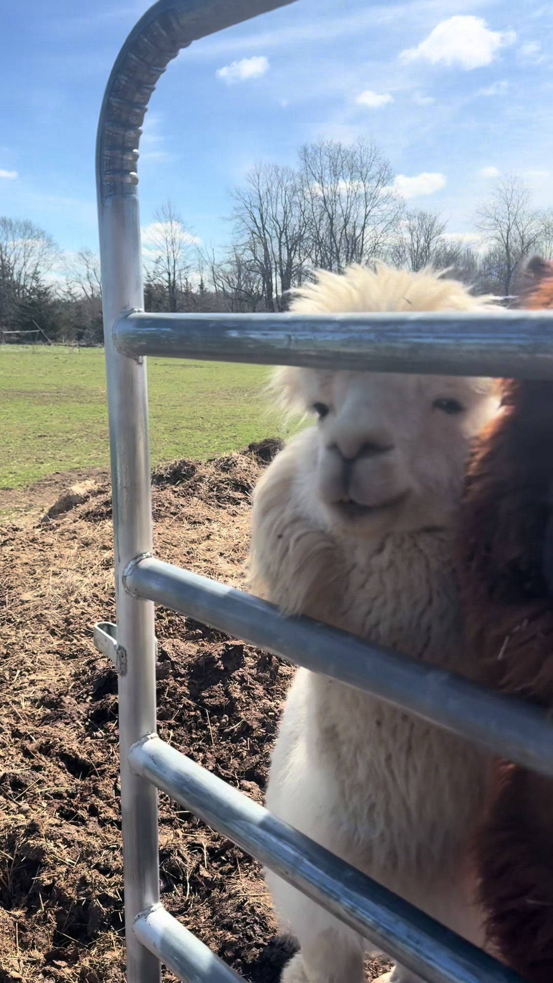 @Useless Farm