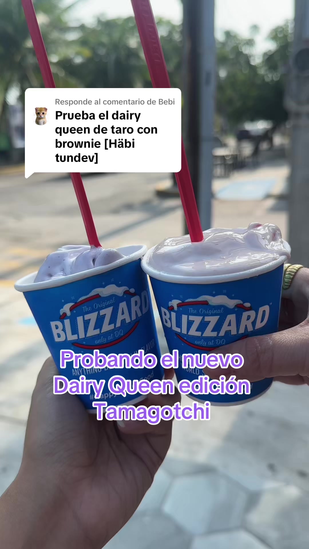 @Laguiadeltragon