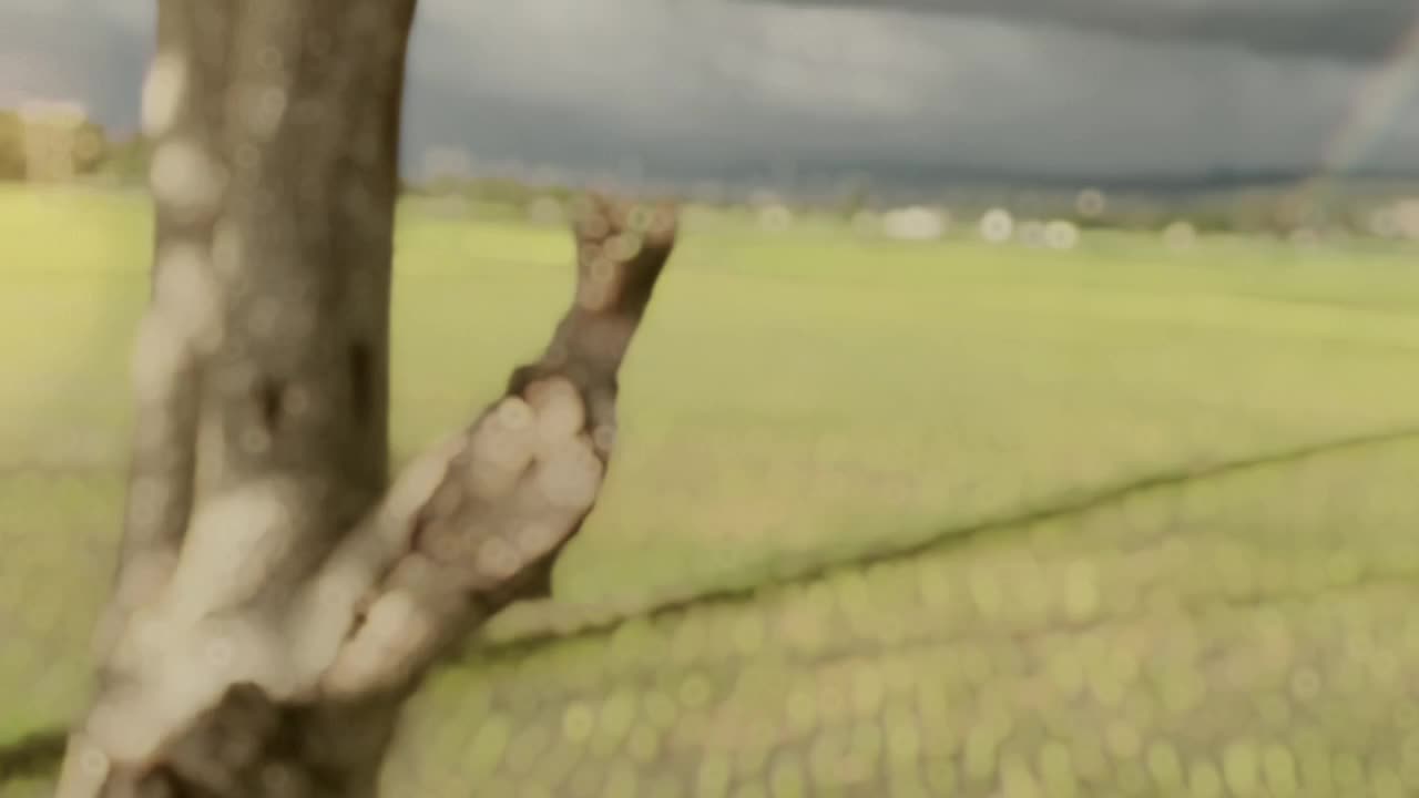 @Aᴍᴀʀɪᴢᴀ