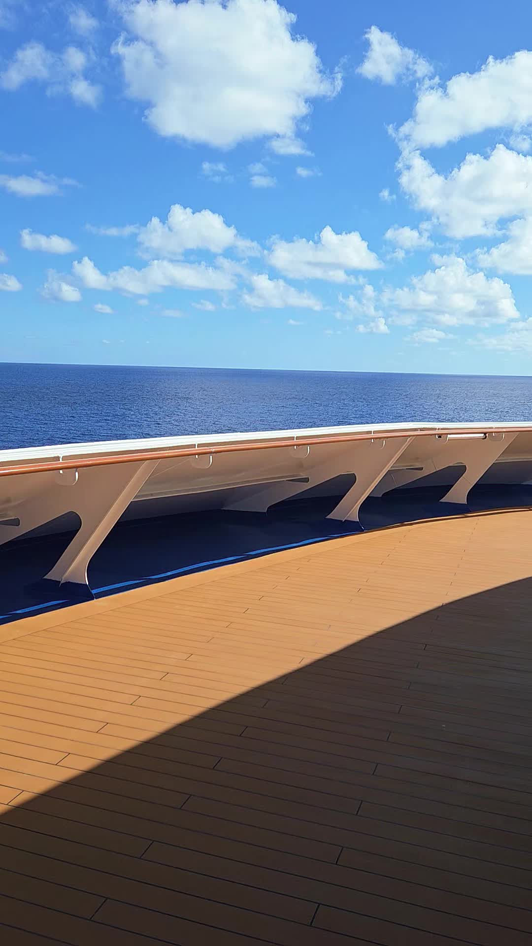 @Whit the Cruise Queen⚓️