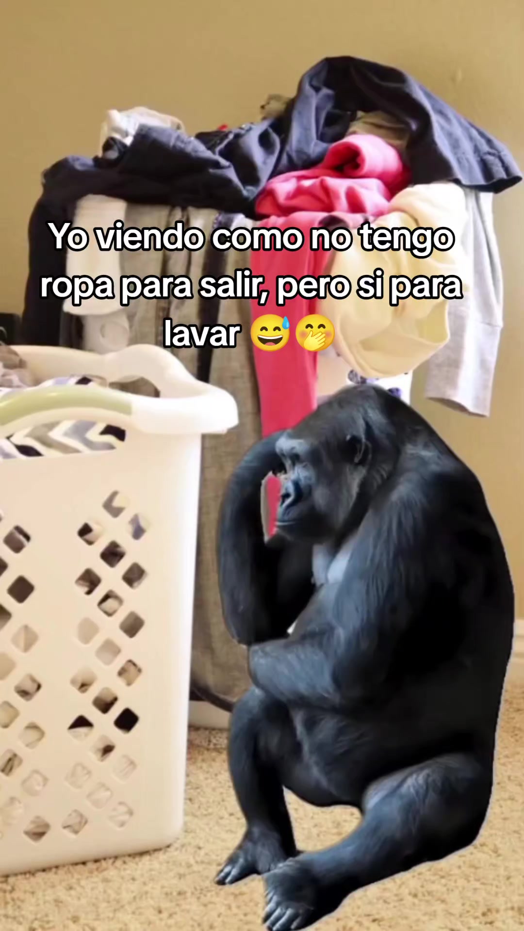 @ersa