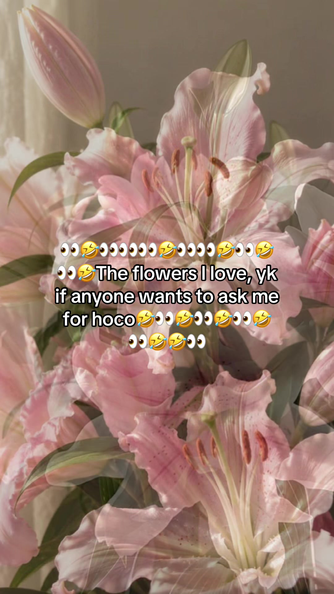 @天恩 [51%]