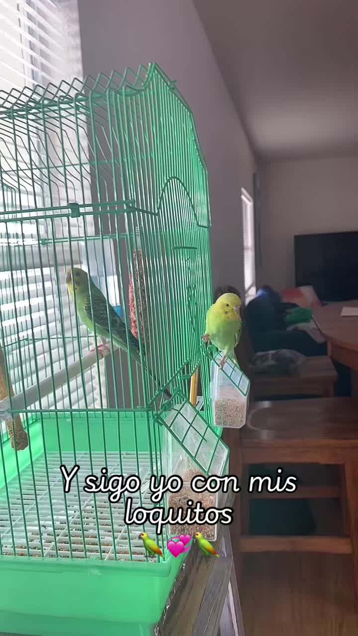 @Vene_de_VillaClara_