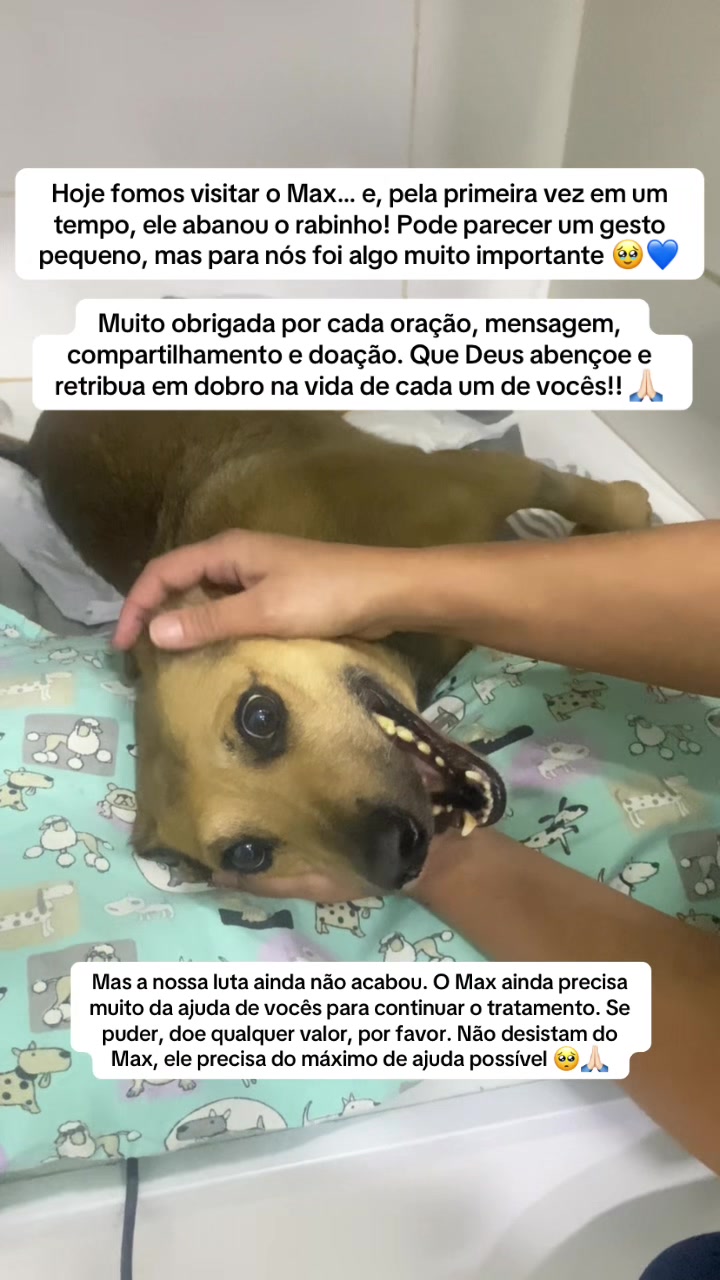 @Ajude o Max! 💙🐾