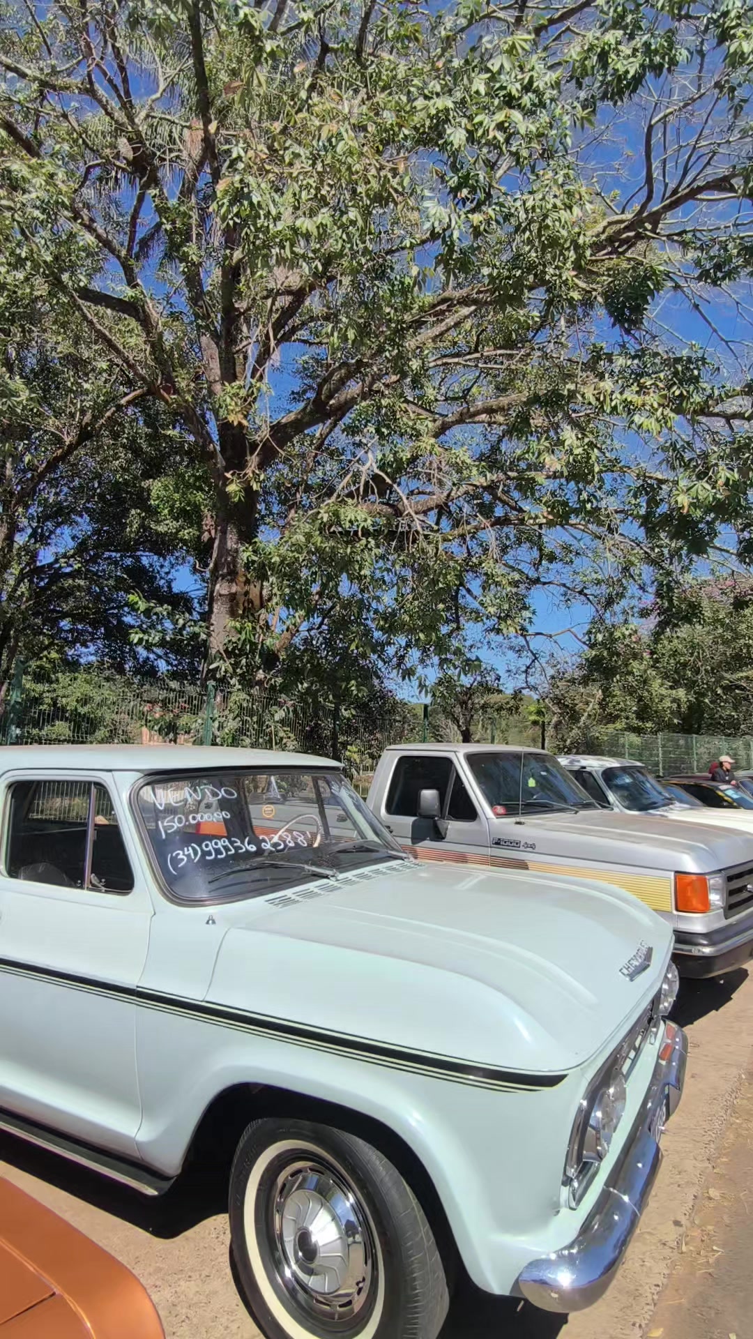 @Cars in Brasil