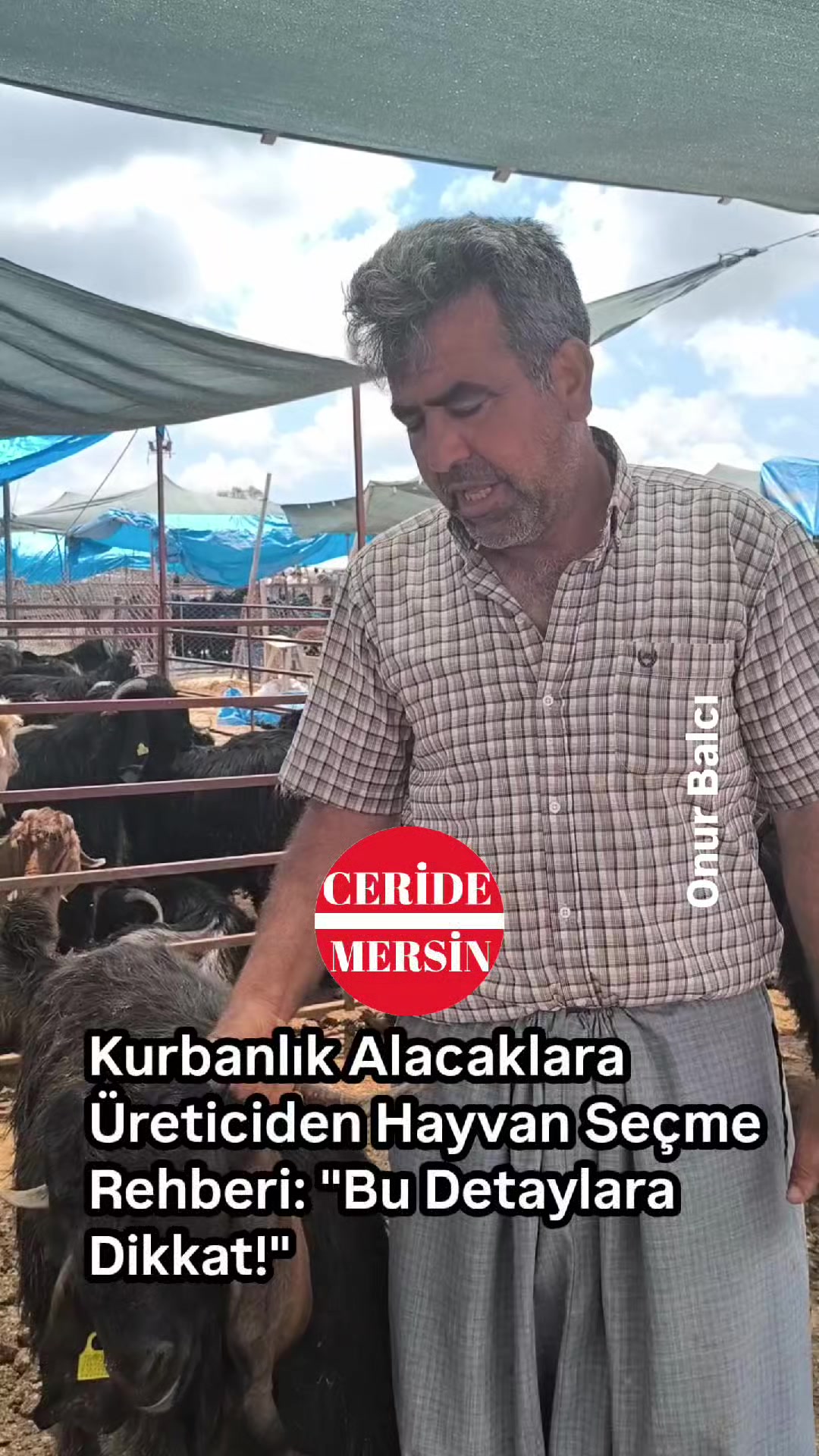 @Onur Balcı