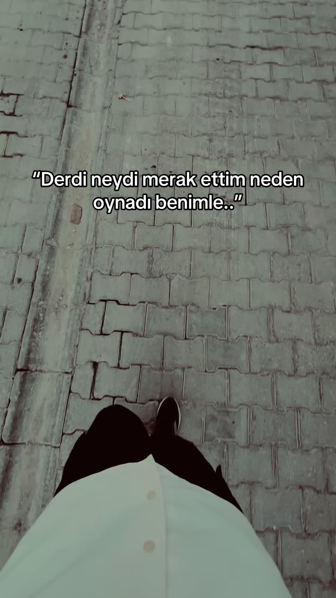 @✯𝓒𝓐𝓷𝓝 𝓢𝓮𝓡𝓸✯