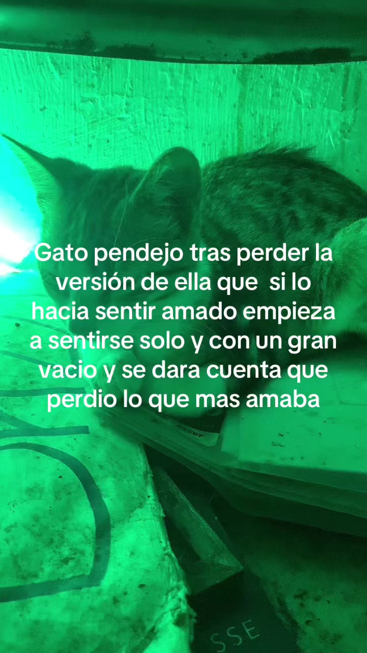 @Proyectadas_Lispk