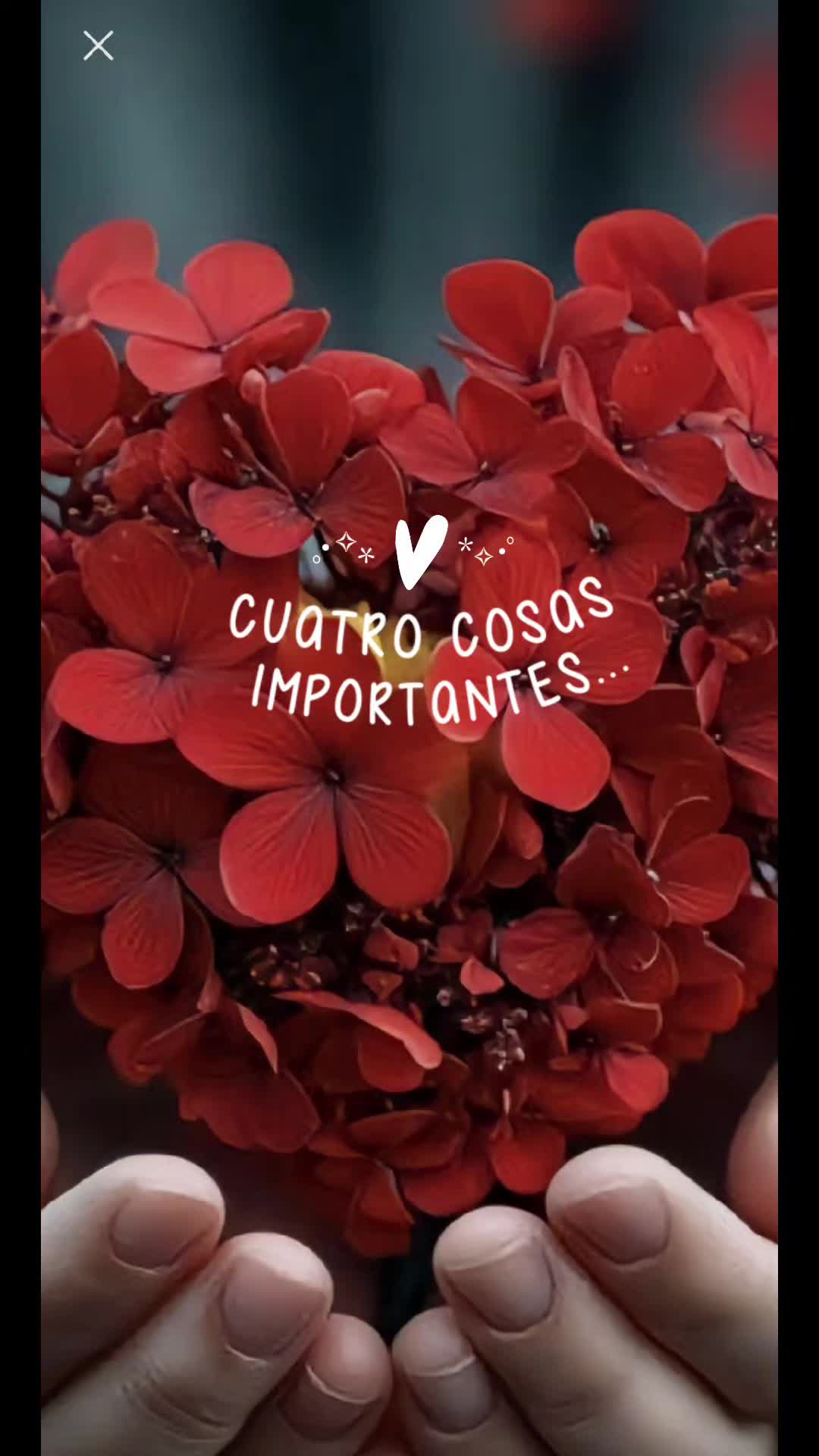 @Maribel 🌻