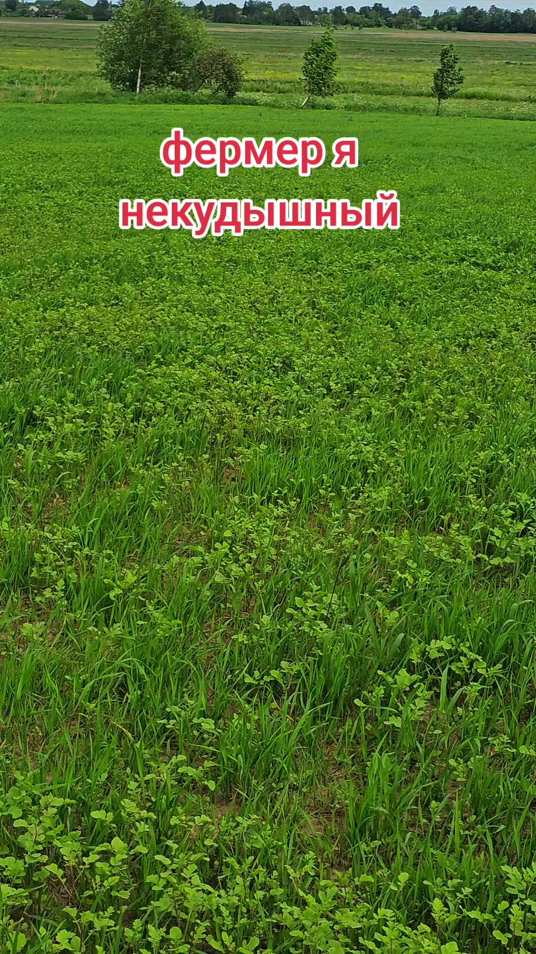 @Виталий Бобруйск