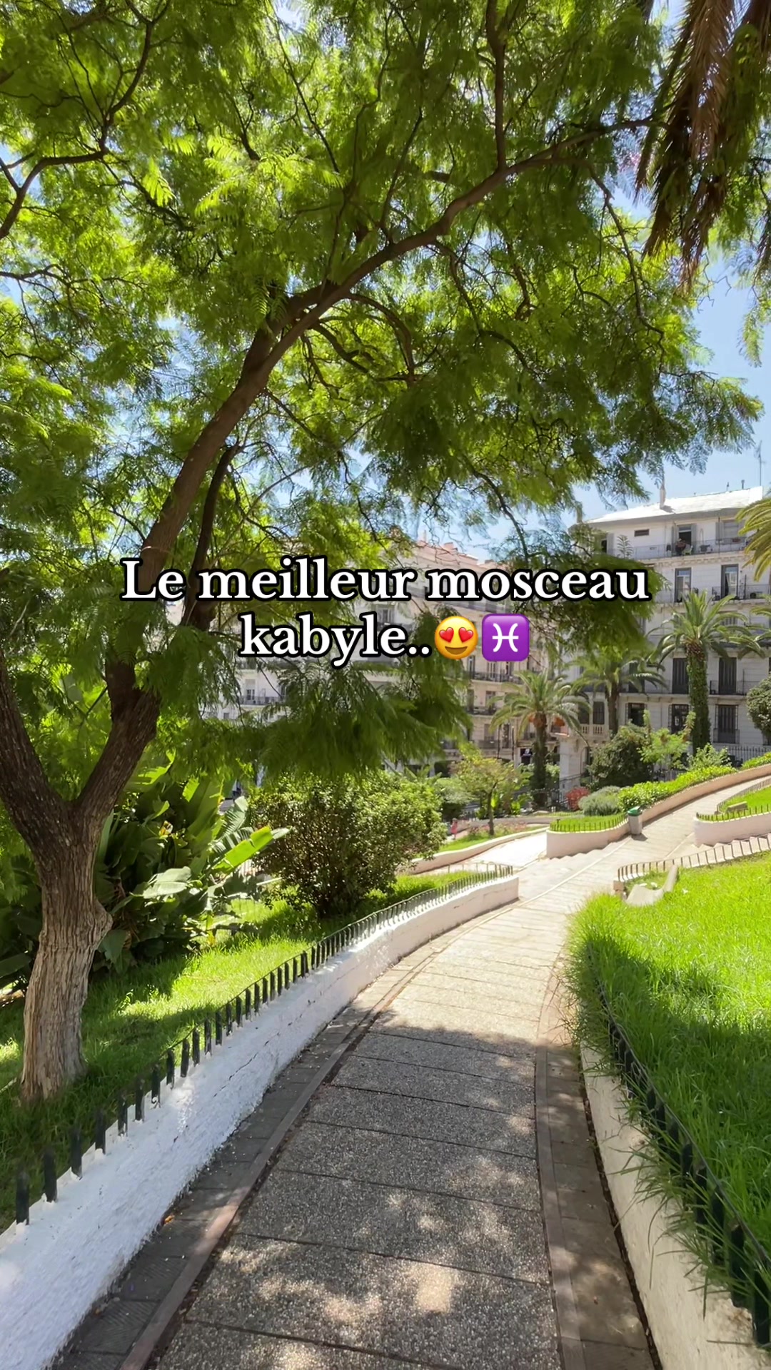 @Adeeeem🧉