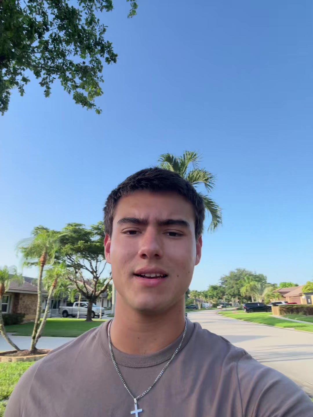 @mendiolaenusa