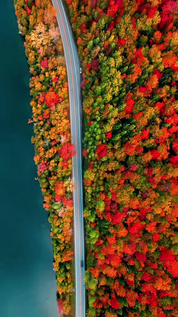 @واثقه بالله
