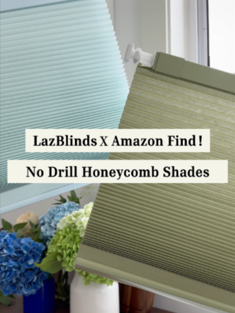 @LazBlinds