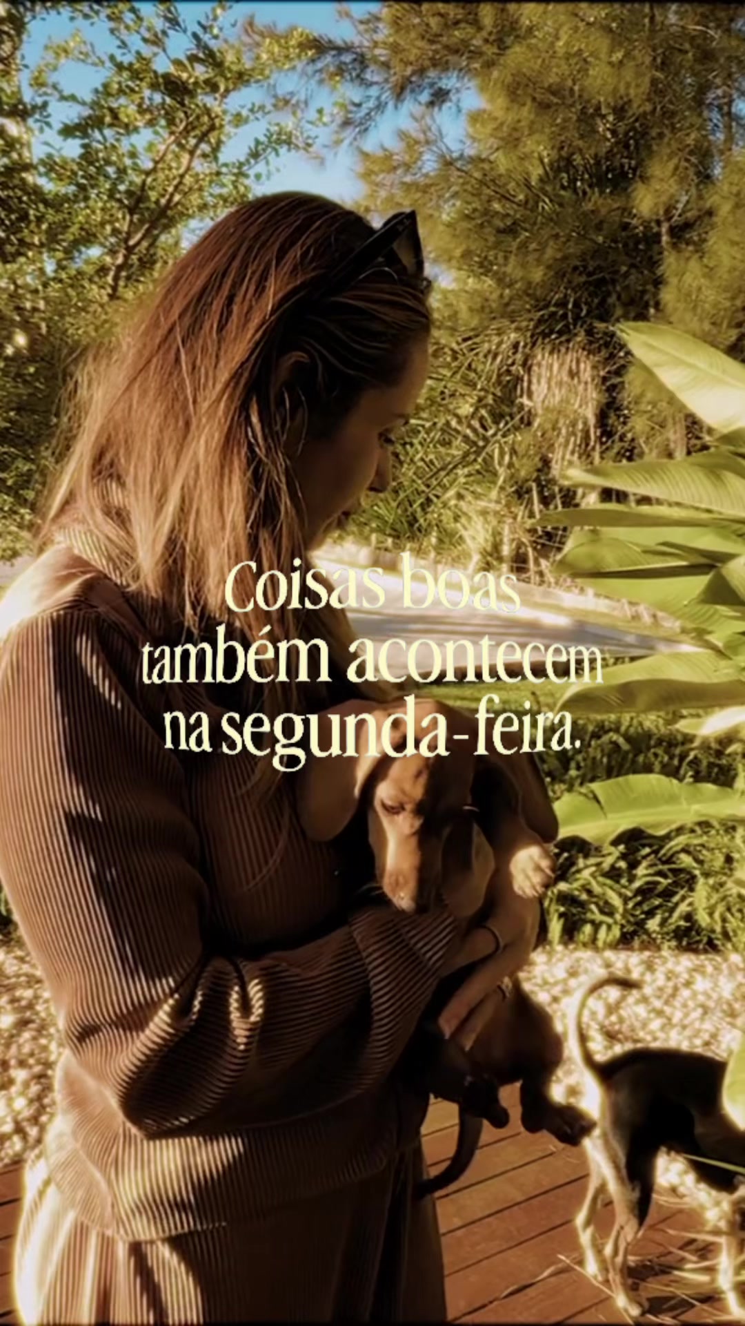 @Matheus Fernandes