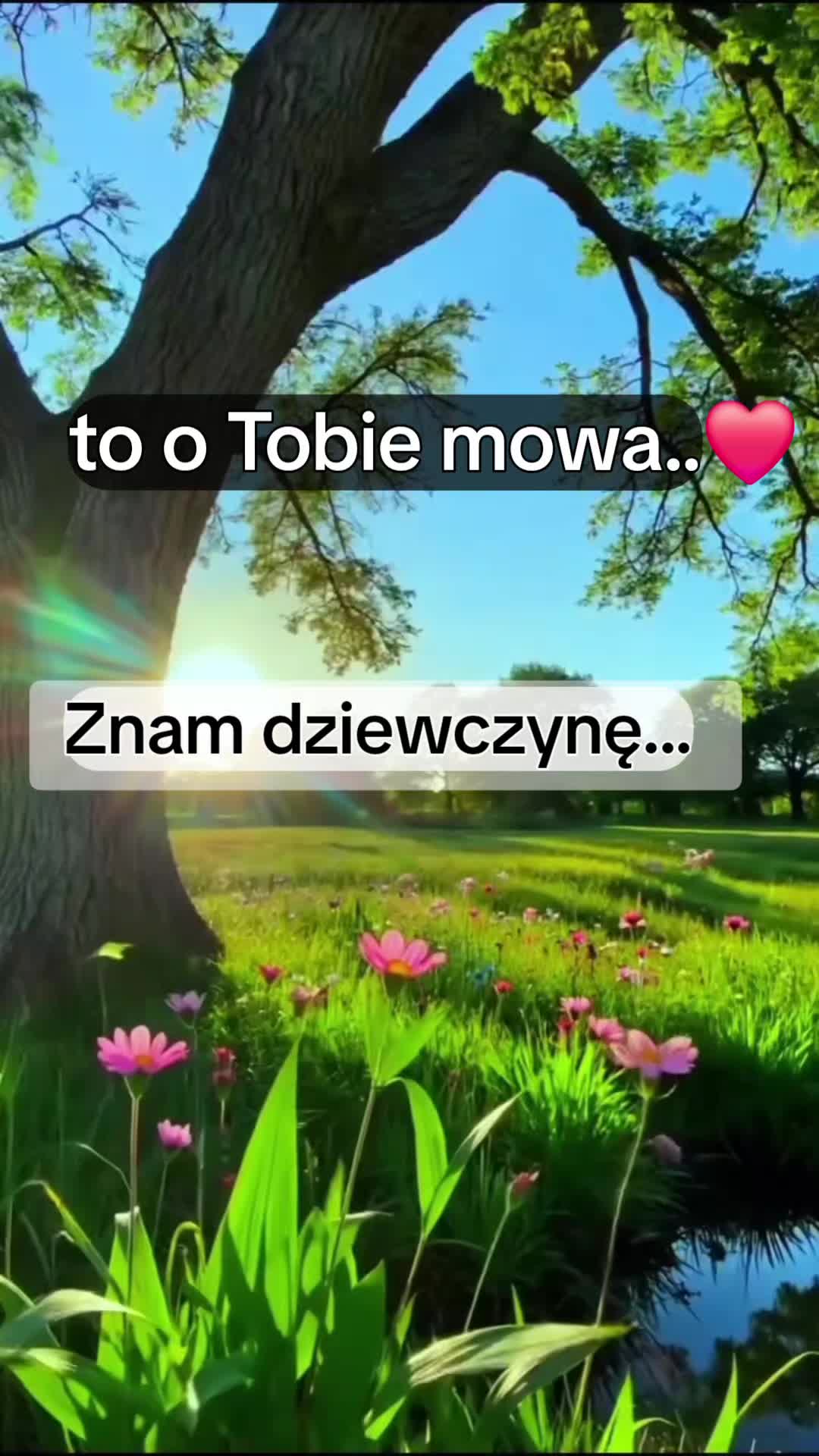 @Śladami Zebry