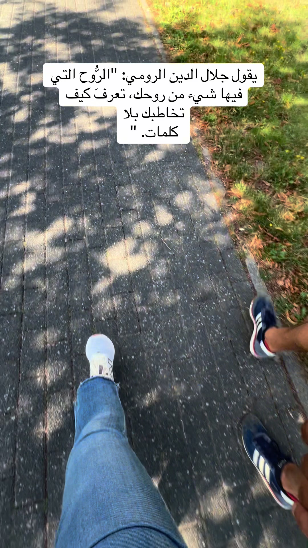 @tuteh🌷
