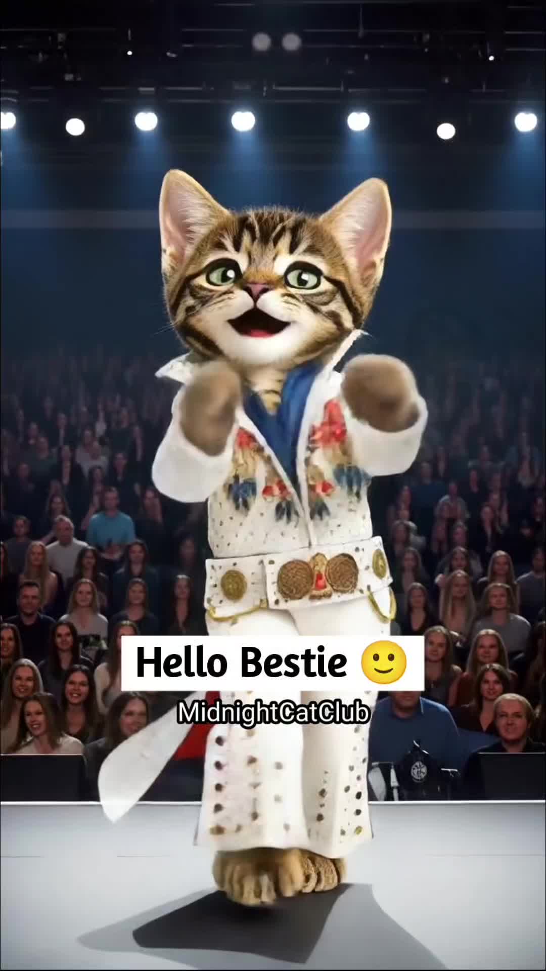 @MidnightCatClub