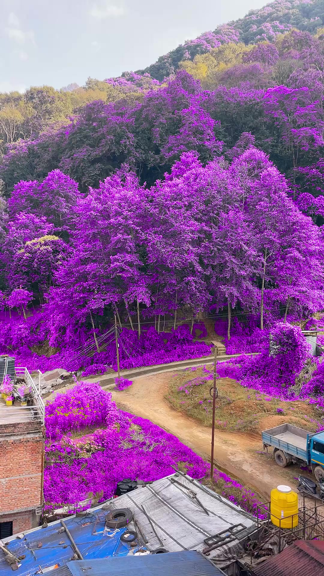 @bikash Shrestha