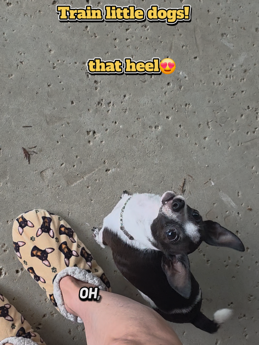 @𝕾𝖙𝖊𝖕𝖍𝖆𝖓𝖎𝖊