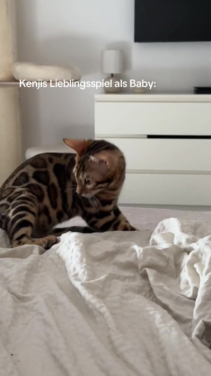 @ALINA 🐆🤎