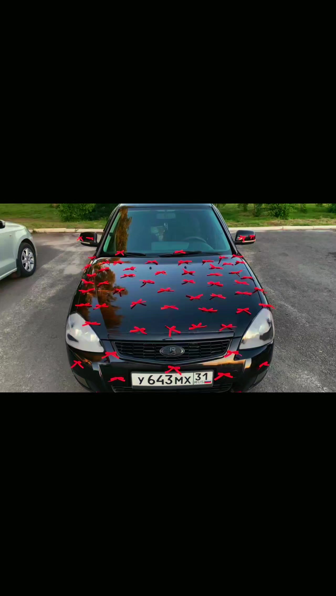 @sazonov