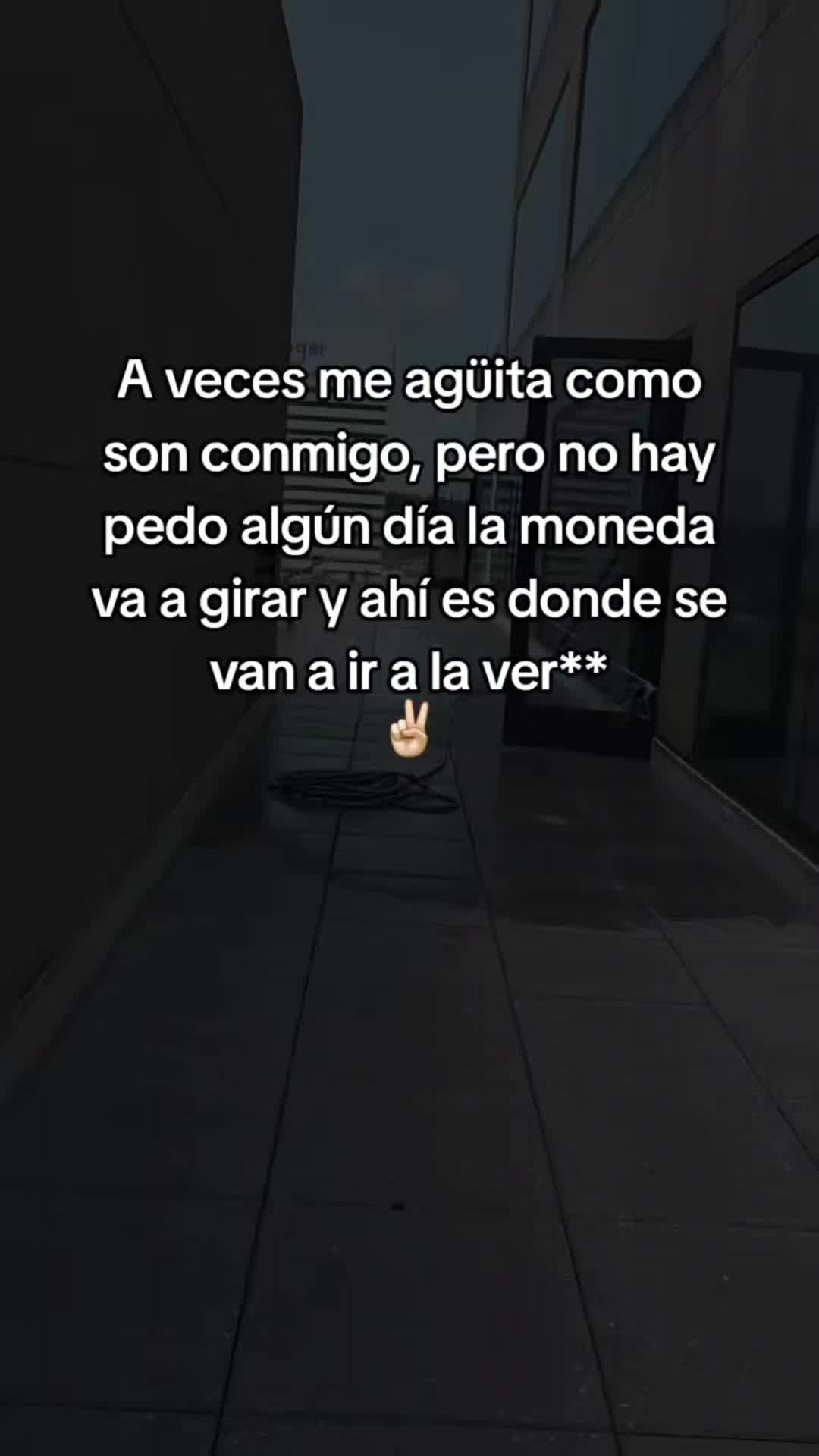 @manueldejesus502