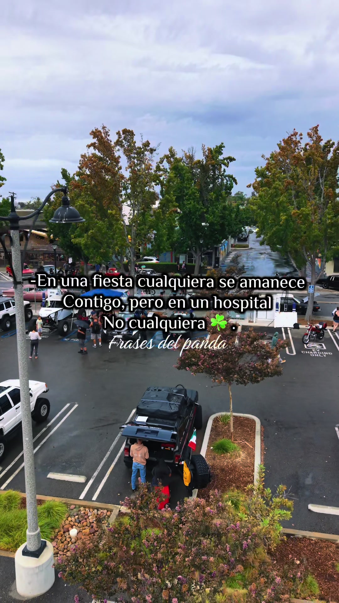 @frases del panda 🥷🏽