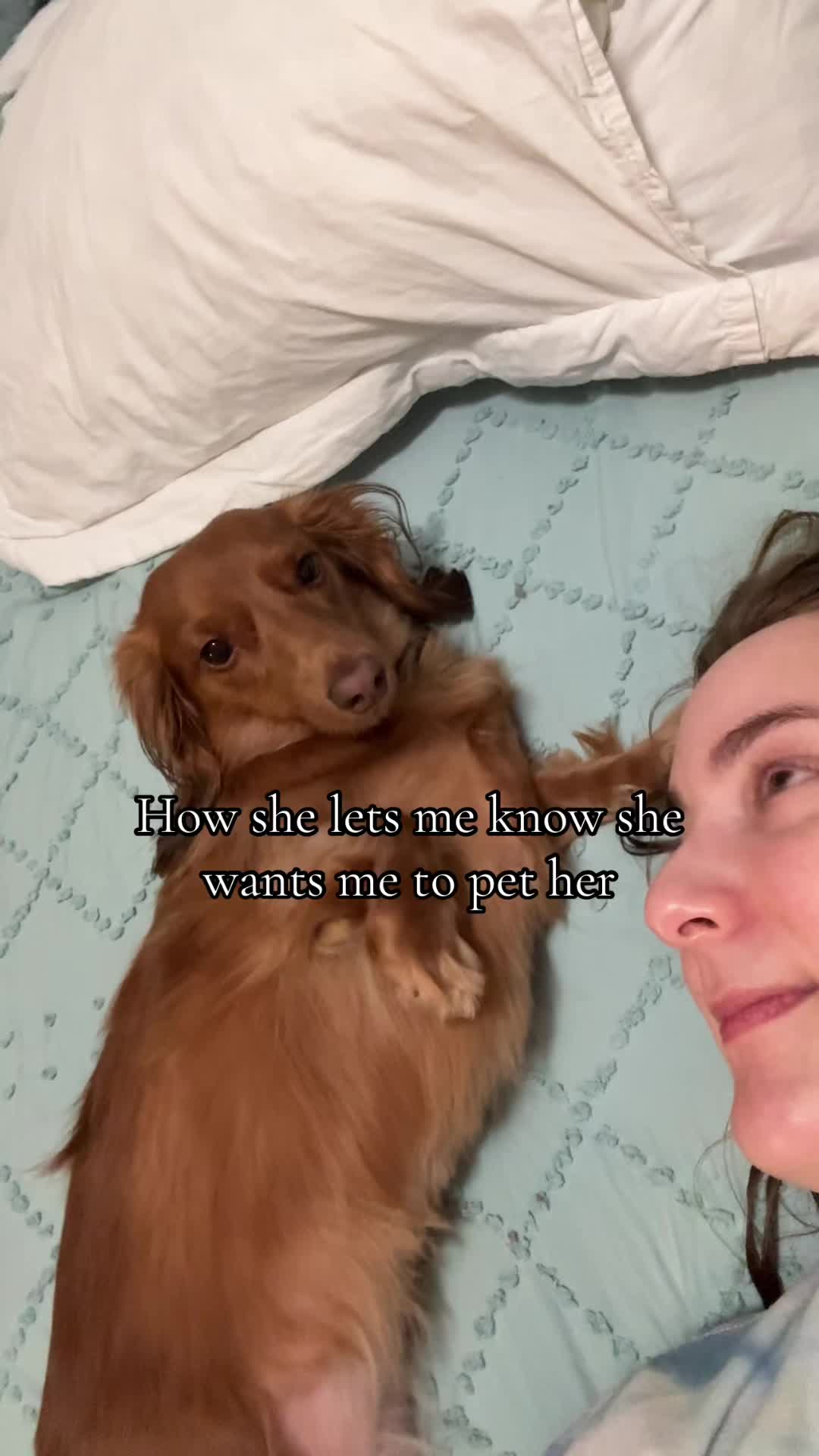@Penny Pawkit