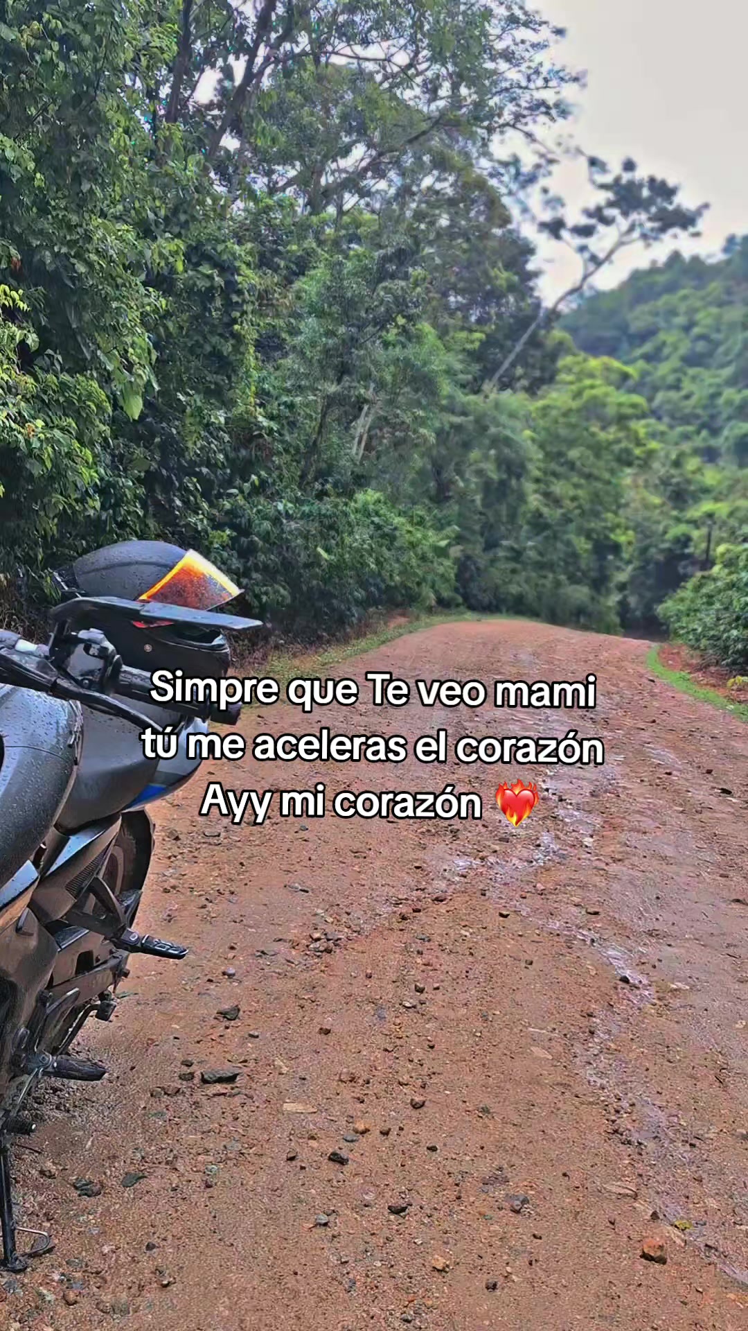 @️𝖂𝖎𝖉𝖒𝖆𝖓_𝟔𝟔𝟔 🇧🇷⚡