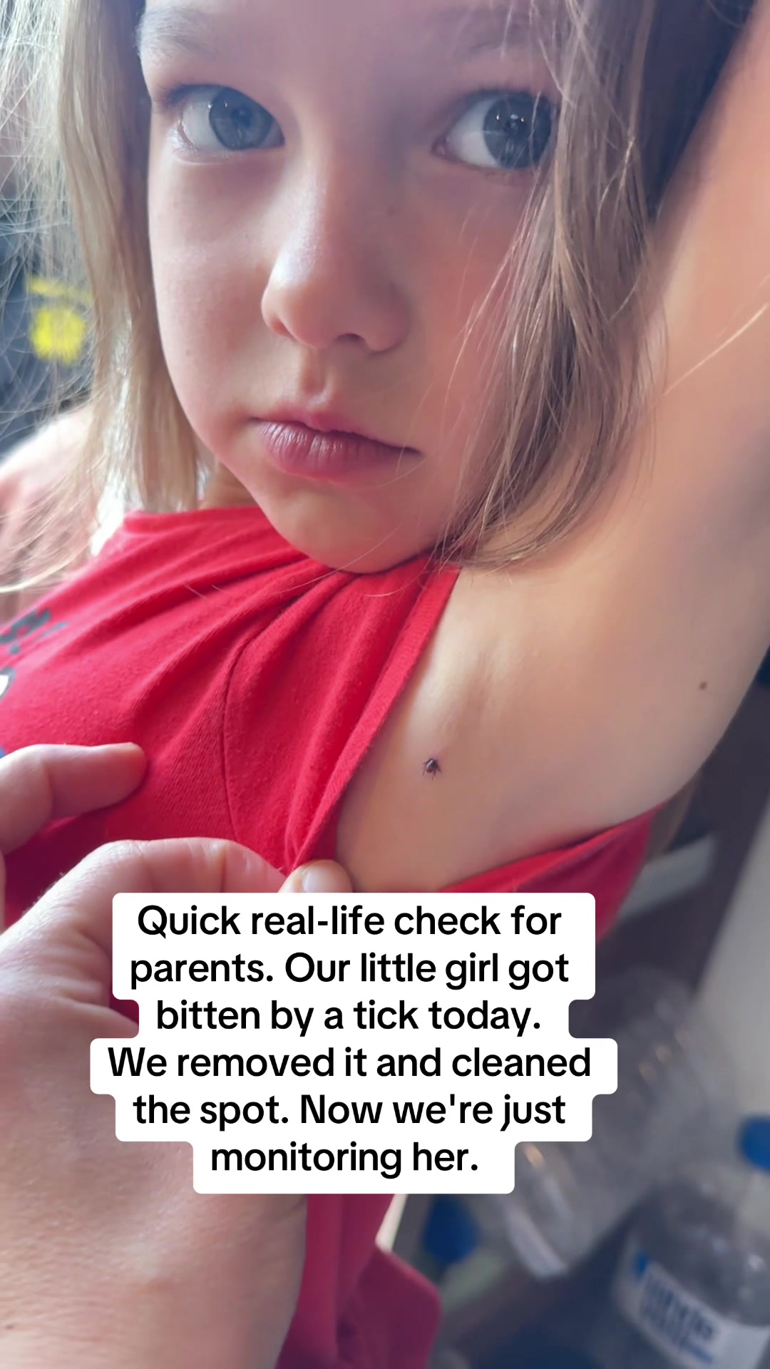 @wow_family_circus