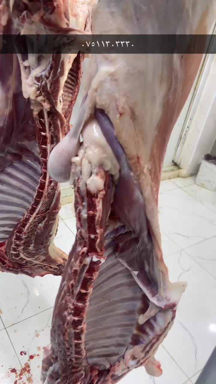 @قژلول قصاب