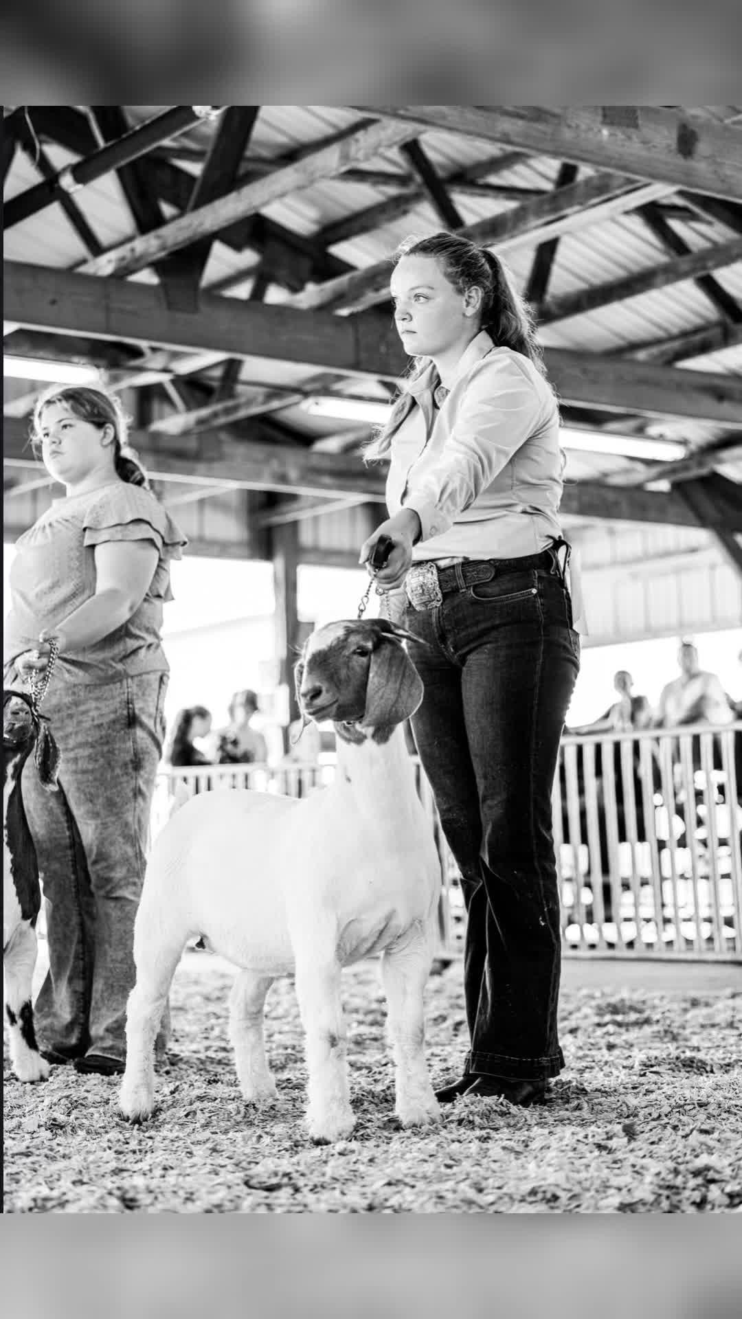 @Jmertinsfarm