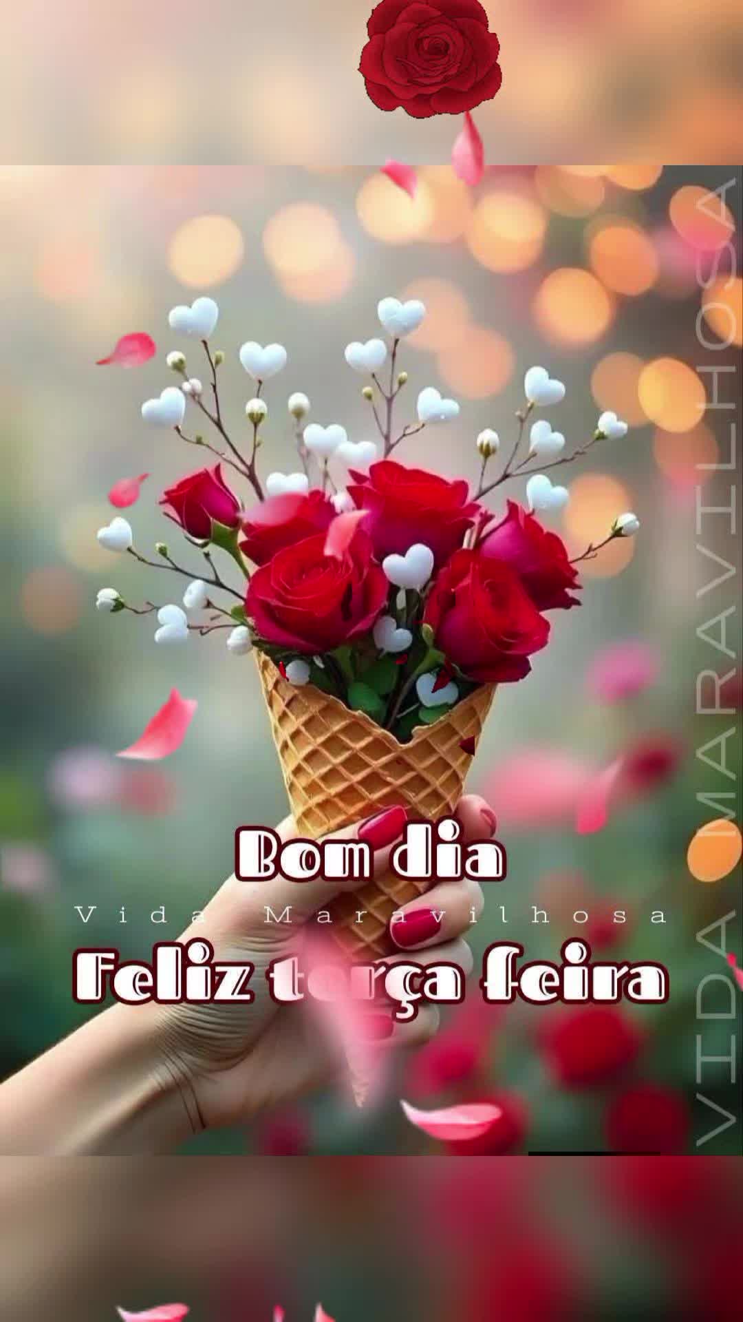 @Valdirene Soares 37