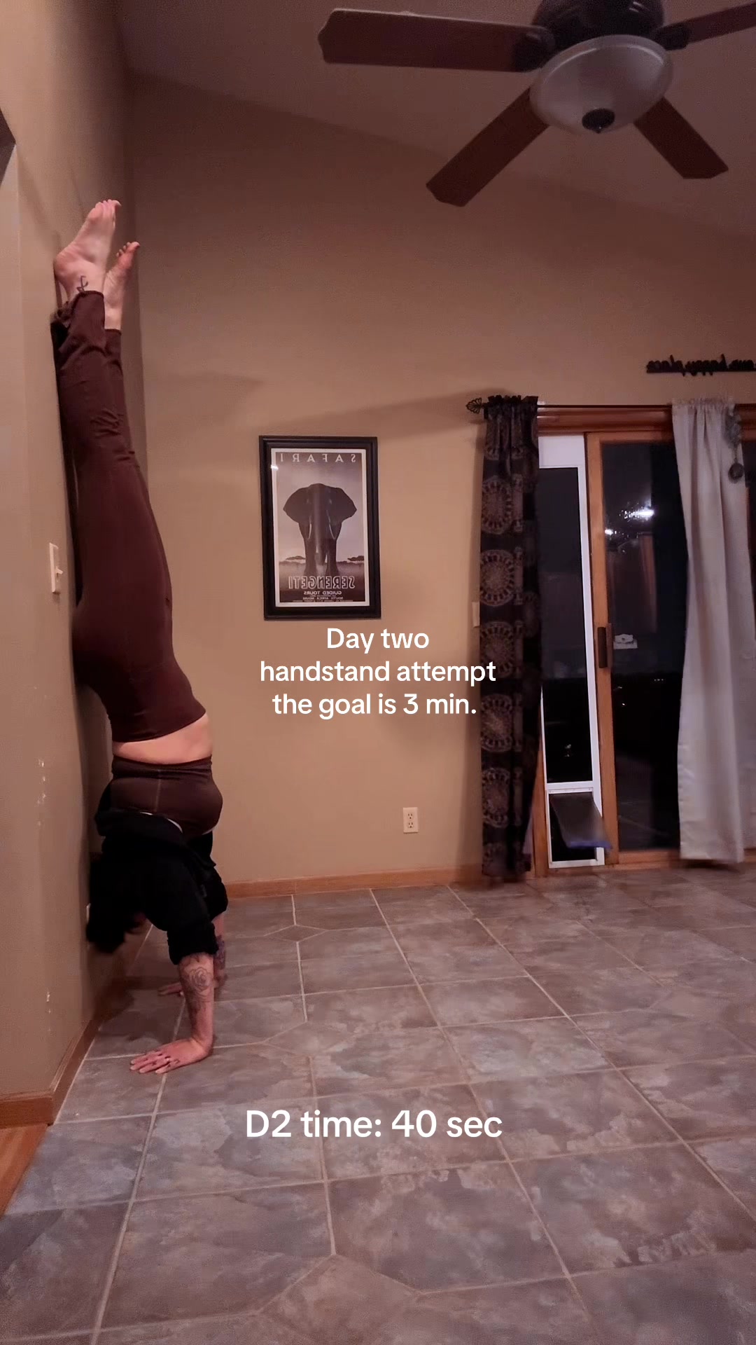 @hausofgesicat