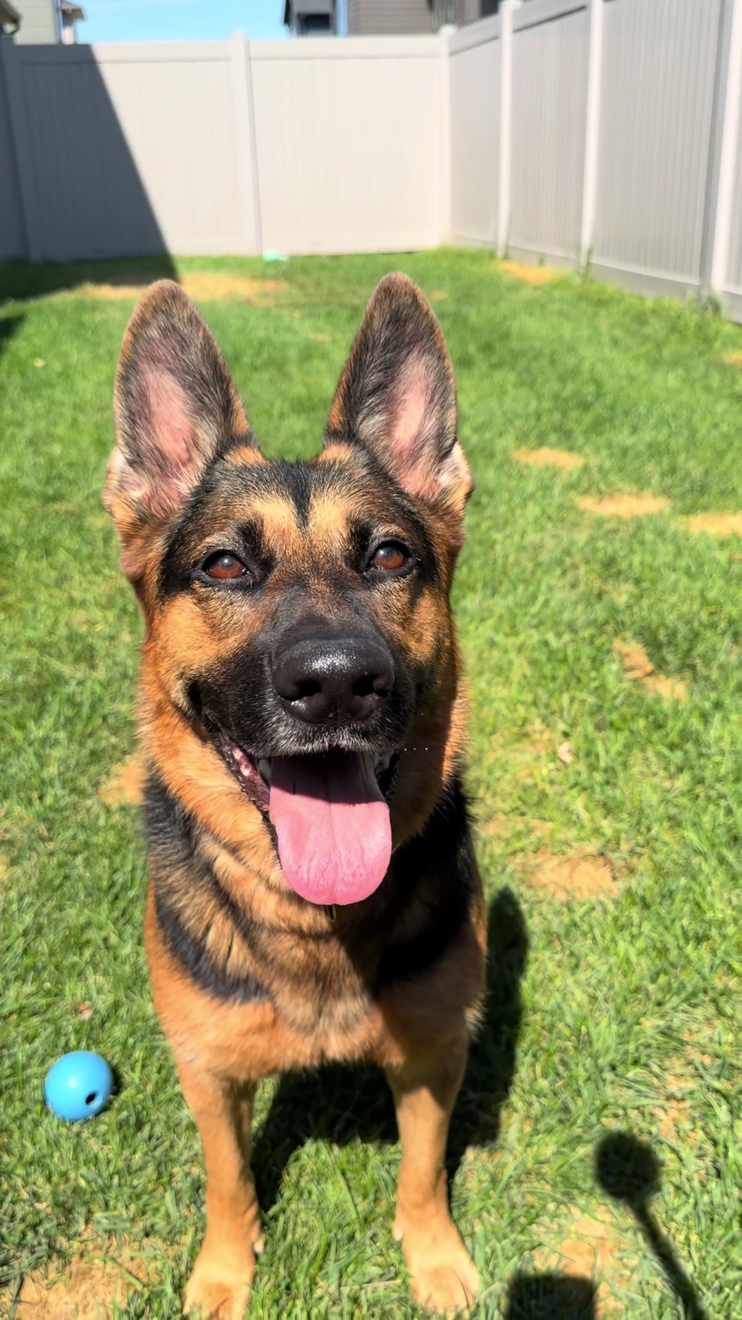 @Rory The Not-Working GSD