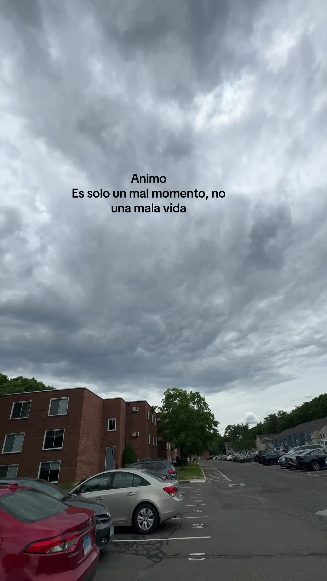 @Josecito