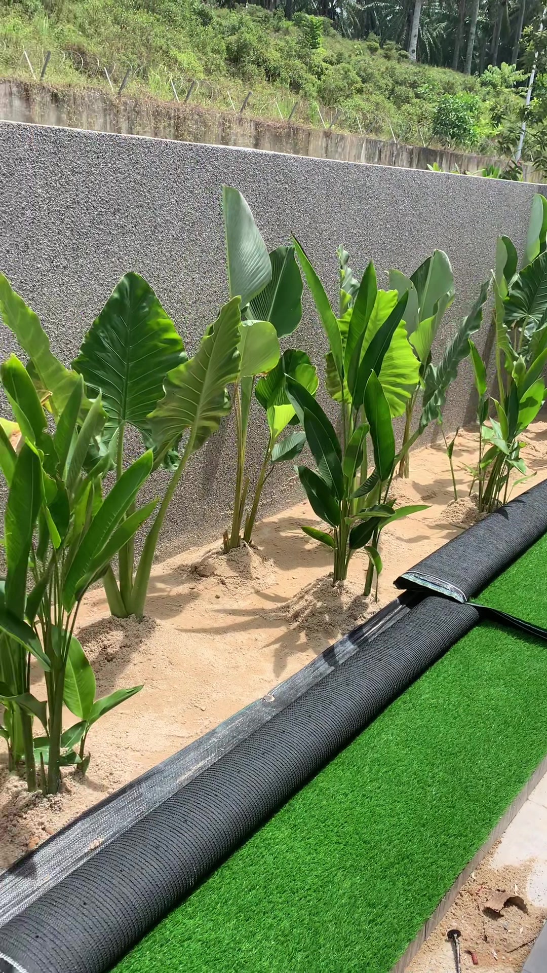 @MZ Landskap Nurseri Benut
