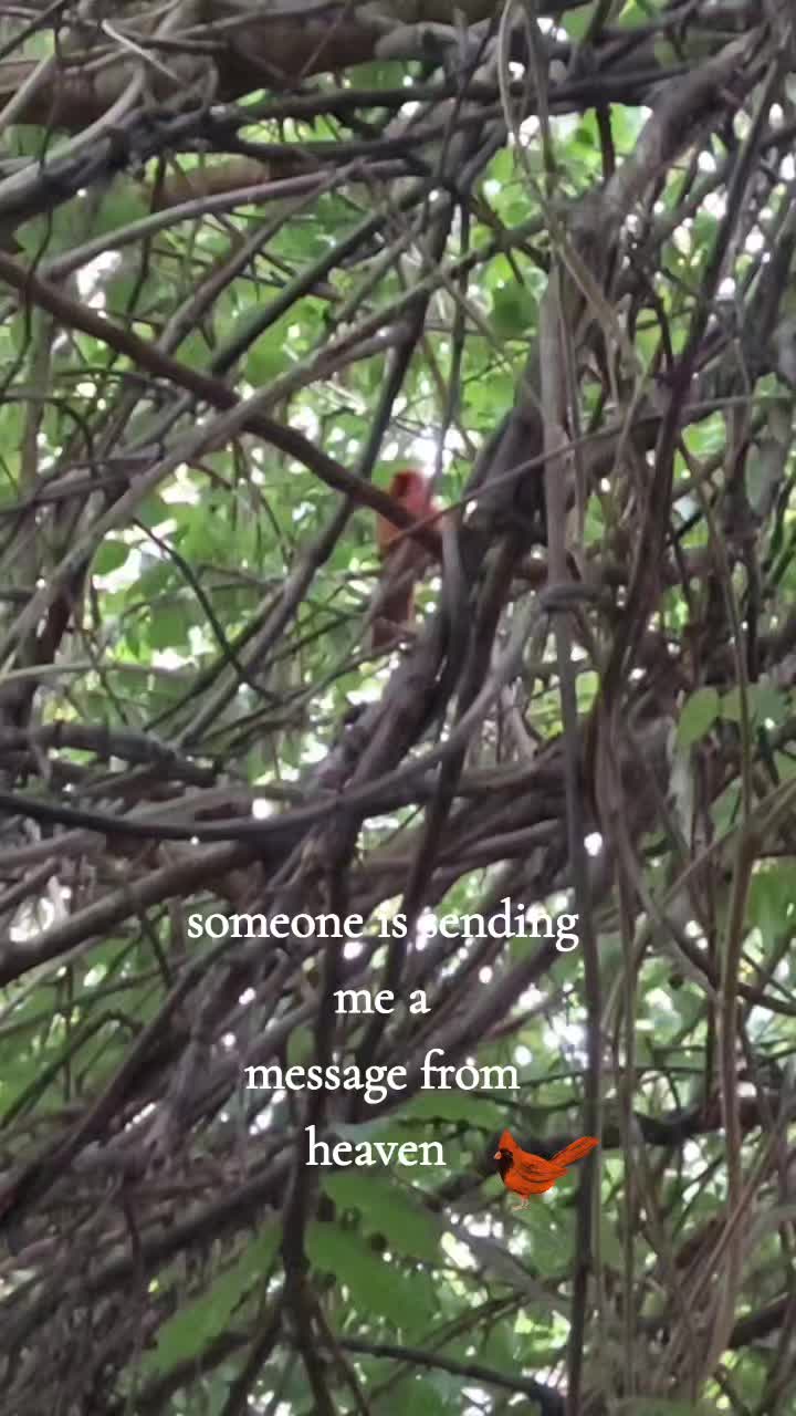 @kjones3950