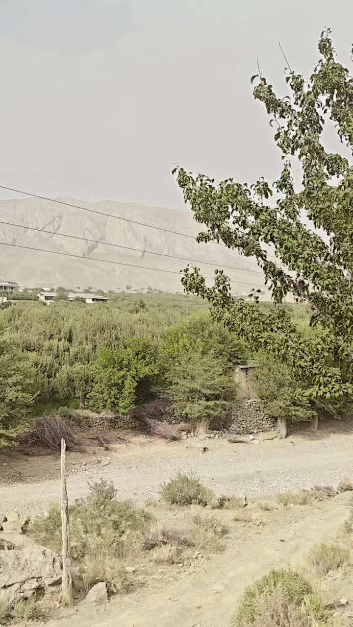 @hazratkhan4453