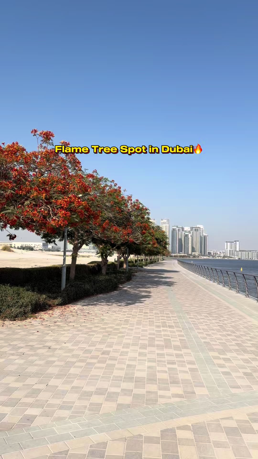 @oohdubai