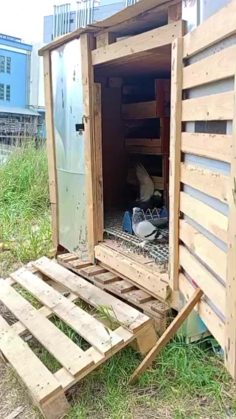 @Konyalı