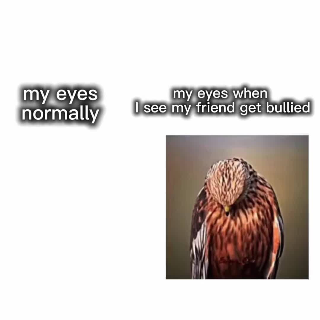 @𝓡𝓸𝓼𝓼🪽