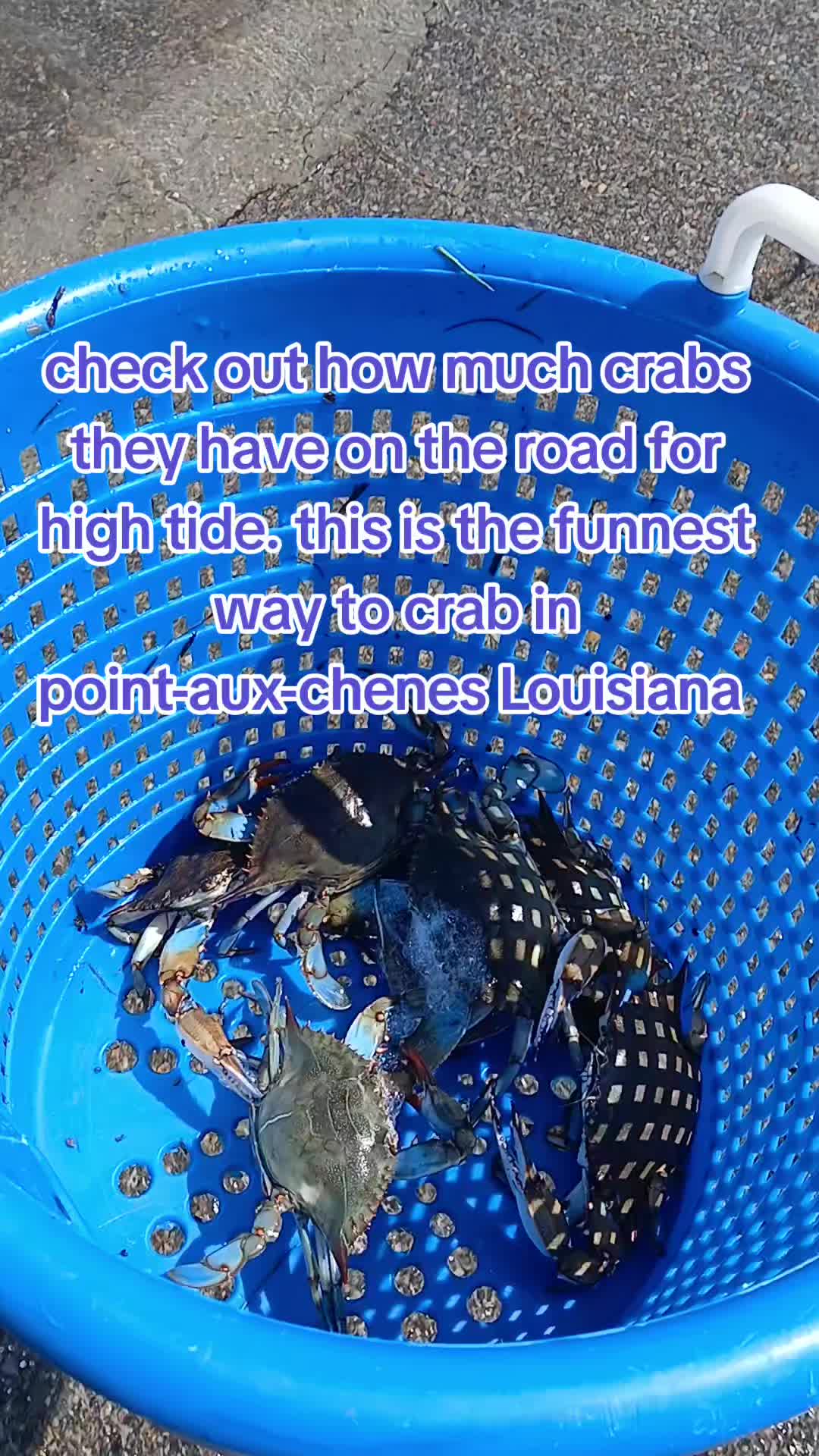 @SALTWATER SAB OUTDOORS