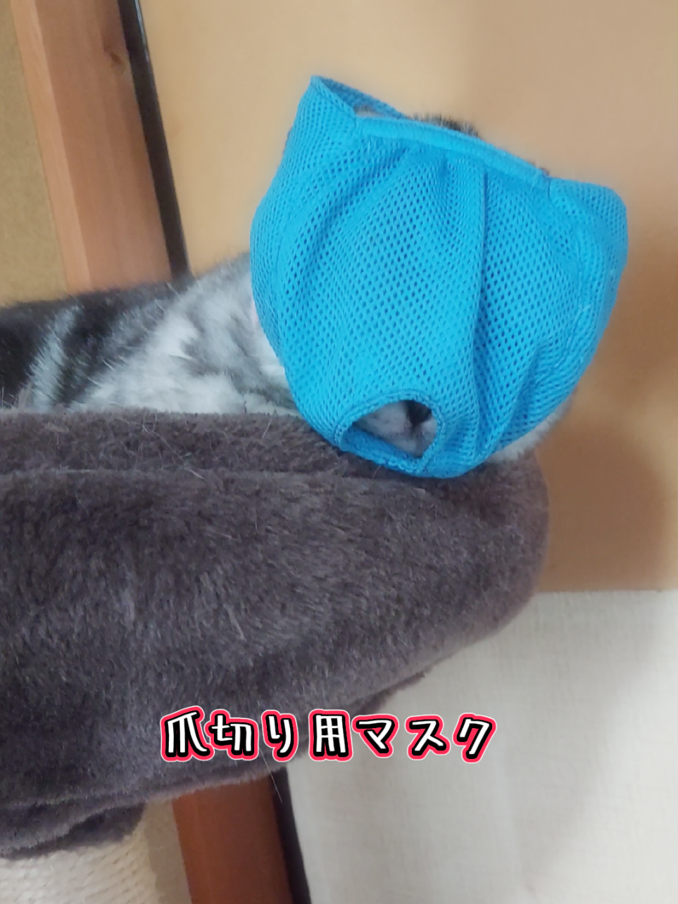 @juri-chan