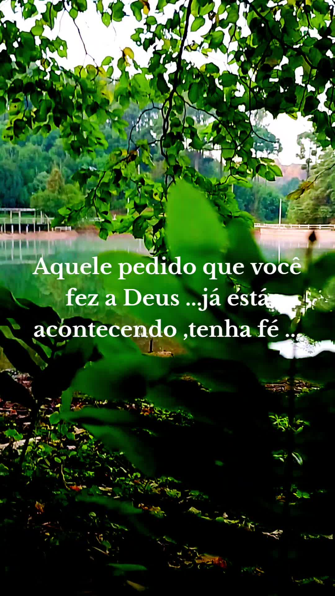@Sonia cordeiro