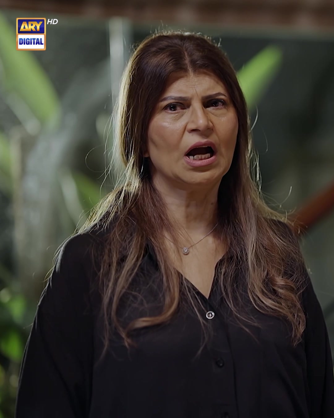 @ARY DIGITAL