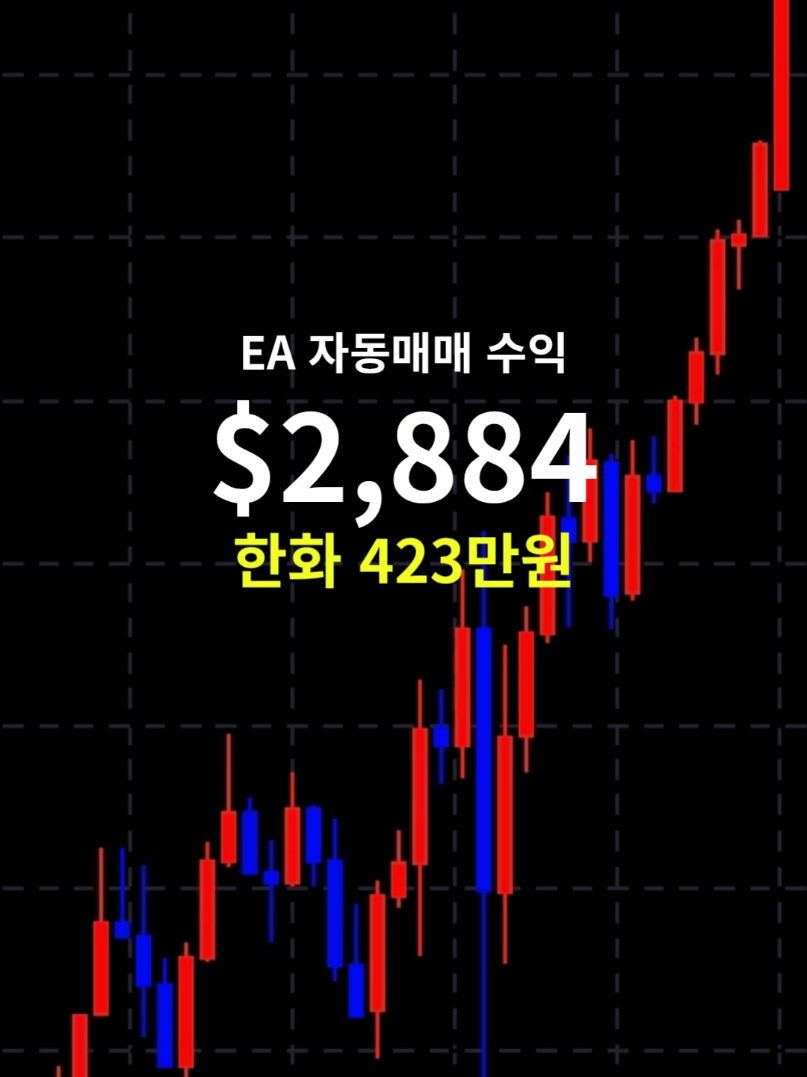 @독싸 &bull; 개인 트레이더